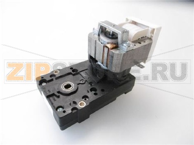 MOTORE GRUPPO CAFFE&amp;#039; 