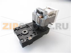 MOTORE GRUPPO CAFFE&#039; 