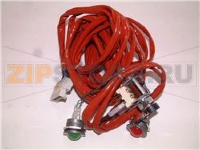 Control cable   8-pole for induction (ty