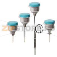 POINTEK CLS200 - STANDARD — СКОЛЬЗЯЩЕЕ СОЕДИНЕНИЕ С РЕЗЬБОВЫМ ПОДКЛЮЧЕНИЕМ К ТЕХНОЛОГИЧЕСКОМУ ПРОЦЕССУ: УНИВЕРСАЛЬНОЕ РЕЛЕ УРОВНЯ С ИНВЕРСНЫМ ИЗМЕНЕНИЕМ ЧАСТОТЫ ПРИ ИЗМЕНЕНИИ ЕМКОСТИ, С ОПЦИОНАЛЬНЫМИ ПОДКЛЮЧЕНИЯМИ К ТЕХНОЛОГИЧЕСКОМУ ПРОЦЕССУ И КОНФИГУРИРУ