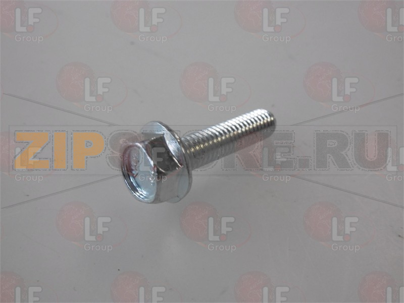 VITE TE M6x25 mm ZINCATA 