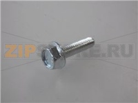 VITE TE M6x25 mm ZINCATA