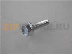 VITE TE M6x25 mm ZINCATA 