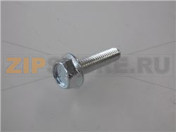 VITE TE M6x25 mm ZINCATA 