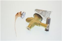 VALVOLA ESP. TERMOSTAT TS2N ODS