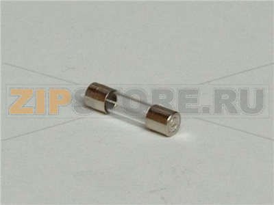 Fuse 0,1 A    20 x 5 mm 