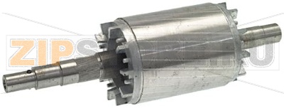 РОТОР ROYAL/STARK 