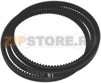 CINGHIA XPA 12,5x1857