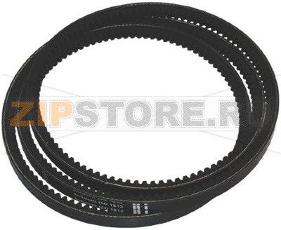 CINGHIA XPA 12,5x1857 