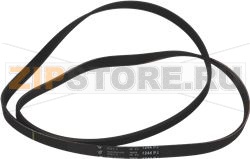 BELT HUTCHINSON 1244 J5 