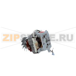 MOTOR &amp;amp; FUSE (230V ONLY) 