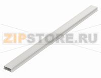 Корпус Filotec с поверхностью под плёночную клавиатуру (1 мм) на одном полукорпусе и литыми настенными накладками на другом полукорпусе Bopla F 524-1000 WL