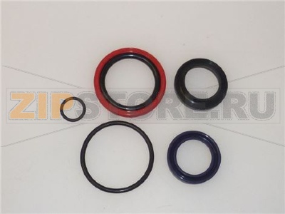 KIT GUARNIZIONI MARTINETTO OLEODINAMICO 