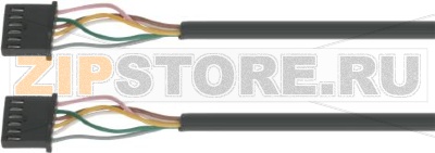 CONNECTION CABLE PLATES MASTER/POTENZA 