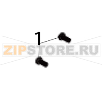 Screw, TP3*10, MOQ 50 pcs TSC TA300