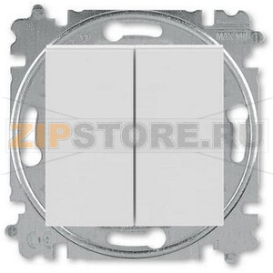 Переключатель двухклавишный, серый ABB 2CHH595245A6016 