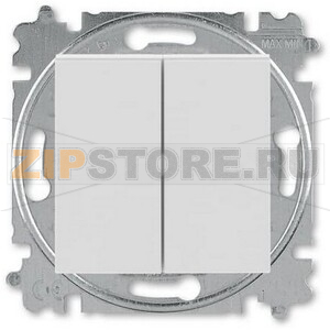 Переключатель двухклавишный, серый ABB 2CHH595245A6016 