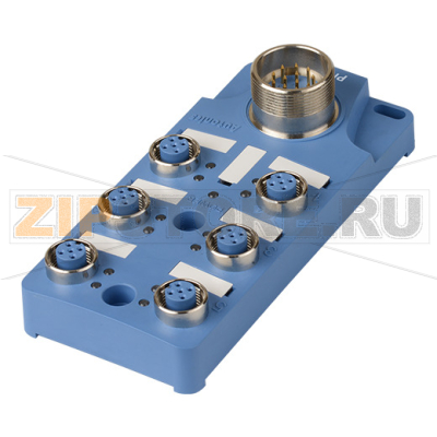 Коробка распределительная, разъем: M12, 5 пин Autonics PT6-C4DP5 