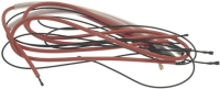 CAVETTI