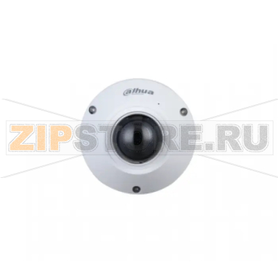 IP-камера Dahua DH-IPC-EB5541P-AS 
