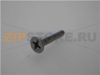 VITE A TESTA SVASATA PIANA M4x20