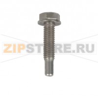 Винт с шестигранной головкой М5х23 начиная с 04/2004 Rational