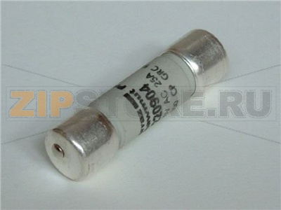 Fuse 25 A    14 x 51 mm 