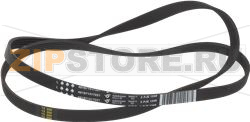 BELT HUTCHINSON 1249 J5 EL 