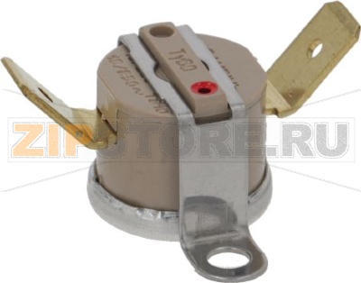 Thermostat 100 Silvia 