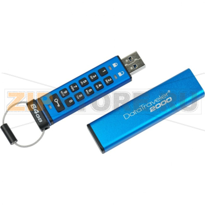 Накопитель USB 64 Гб Kingston DT2000/64GB 