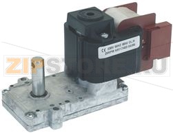 GEAR MOTOR 