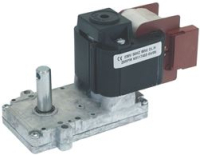 GEAR MOTOR