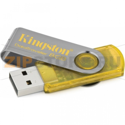 Накопитель USB 2 Гб Kingston DT101Y-2GB 
