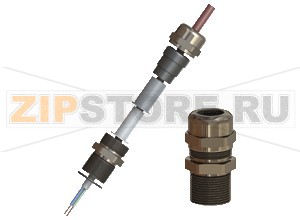 Кабельная муфта Cable Glands, Metal, for non-armored Cables CG.NA.M40S.BN.C.18.K01 Pepperl+Fuchs Mechanical specificationsCable typenon-armored cablesClamping range (D)22 ... 32 mmSeal combination S127 ... 32 mmSeal combination S1+S224 ... 27 mmSeal combination S1+S2+S322 ... 24 mmThread typemetric ISO pitch 1.5 mmThread size (TD)M40Degree of protectionIP66 / IP68MaterialCable glandbrass, nickel-platedWasher gasketaramid fibers bonded with NBRO-RingchloropreneSeal insertchloropreneMass211 gDimensionsWidth across corners (D2)50 mmDiameter thru-hole (DT)40 ... 40.3 mmLength outside enclosure (H)27 mmWidth across flats (SW1)45 mmWidth across flats (SW2)45 mmThread length (TL)18 mmTotal length (L)45 mmTightening torqueNut torque at enclosure (SW1)12 NmNut torque 2 with seal S1 (SW2)45 NmNut torque 2 with seals S1+S2 (SW2)50 NmNut torque 2 with seals S1+S2+S3 (SW2)56 NmAmbient conditionsAmbient temperature-40 ... 80 °C (-40 ... 176 °F) washer gasket -40 ... 80 °C (-40 ... 176 °F)Data for application in connection with hazardous areasEU-Type Examination CertificateIMQ 14 ATEX 012XMarking II 2 GD Ex d IIC Gb Ex e IIC Gb Ex tb IIIC DbInternational approvalsIECEx approvalIECEx IMQ 14.0004XEAC approvalTC RU C-TR.GB05.B.00918ConformityDegree of protectionEN 60529General informationDelivery quantity1Scope of deliveryCable gland washer gasket locknut earth tag shroud PVC brief instructionsSupplementary informationEC-Type Examination Certificate, Statement of Conformity, Declaration of Conformity, Attestation of Conformity and instructions have to be observed where applicable. For information see www.pepperl-fuchs.com.AccessoriesSealing plugsBP.NA.M32-M40S.PA