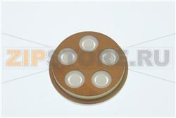 ASS TRAFILA CONCHIGLIE RIGATE N 19    PM 