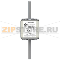 Предохранитель, 125 A, AC 690 В, 200 кА, size 1, 45x45x134 мм, aR, DIN, IEC Eaton FUSE 125A 690