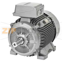 SIMOTICS SD-VSD10 MOTOR TYPE: 1CV1315B IEC low-voltage motor, ASM-KL self-ventilated, Basis efficiency temperature class 155(F), according to 155(F), Cast iron frame, IP55 Only for converter operation 4-pole * Size 315L Siemens 1LE1592-3AB5.-....