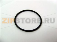 GASKET [C] 31,47X1,78