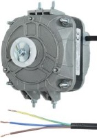 MOTEUR TEDDINGTON TFM 7W