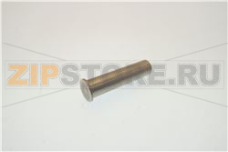 DOOR PIVOT STAINLESS STEEL AISI 303 DIS. 