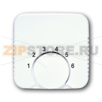 Накладка для терморегулятора, альпийский белый ABB 2CKA001710A3989