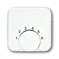 Накладка для терморегулятора, альпийский белый ABB 2CKA001710A3989