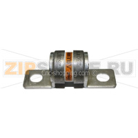 Предохранитель 100 А, 2 шт Fanuc A60L-0001-0145