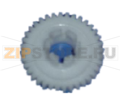 Gear NCR S1    