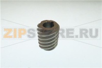 6-THREADED WORM ATOMA