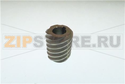 6-THREADED WORM ATOMA 