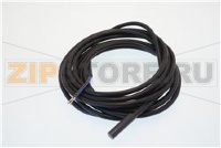 SONDA NTC L3000 D7 BACCHUS MT