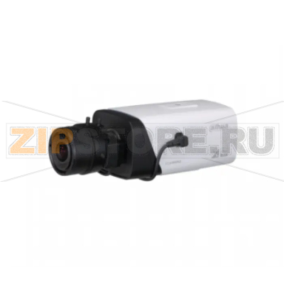 IP-камера Dahua DH-IPC-HF5231EP 