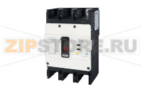 Выключатель автоматический дифференциального тока 150 А, 100 мА, 55 кА, 3 полюса Hyundai Electric HGE250L3PG5S0000C00150