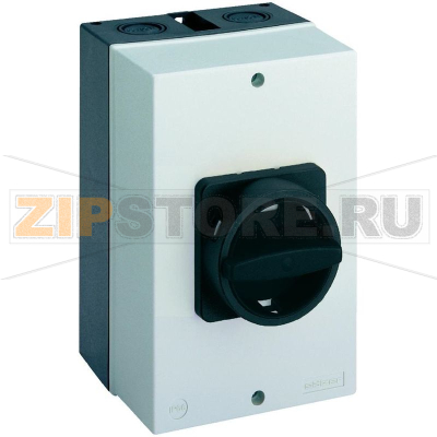 Выключатель нагрузки 50 А/DC, 1000 В, 1x90°, 1 шт Sälzer D242-89300-710N1 